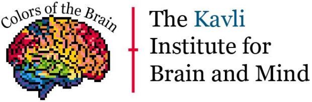 Colors of the Brain Logo